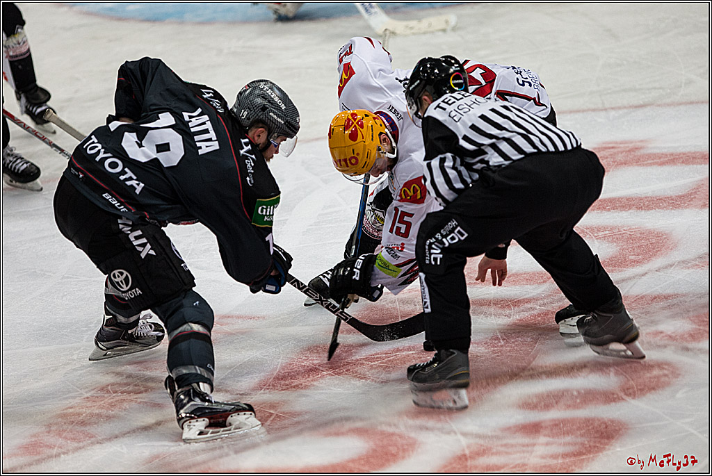 DEL, Koelner Haie - Fishtown Pinguins Bremerhaven, 29.01.2017